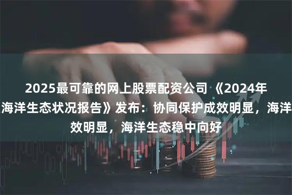2025最可靠的网上股票配资公司 《2024年粤港澳大湾区海洋生态状况报告》发布：协同保护成效明显，海洋生态稳中向好